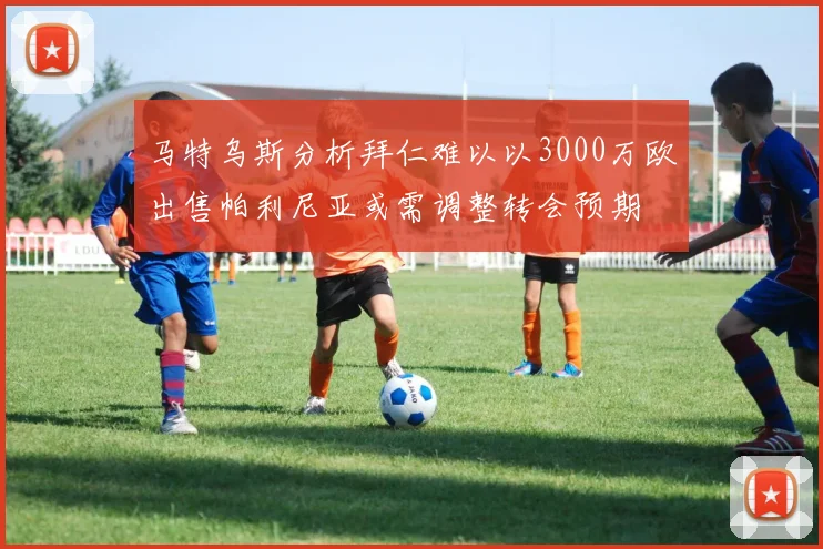 马特乌斯分析拜仁难以以3000万欧出售帕利尼亚或需调整转会预期