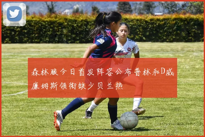 森林狼今日首发阵容公布普林和D威廉姆斯领衔缺少贝兰热